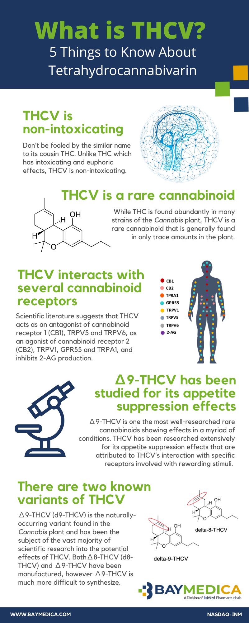 What Is THCV? 5 Things To Know About THCV | BayMedica